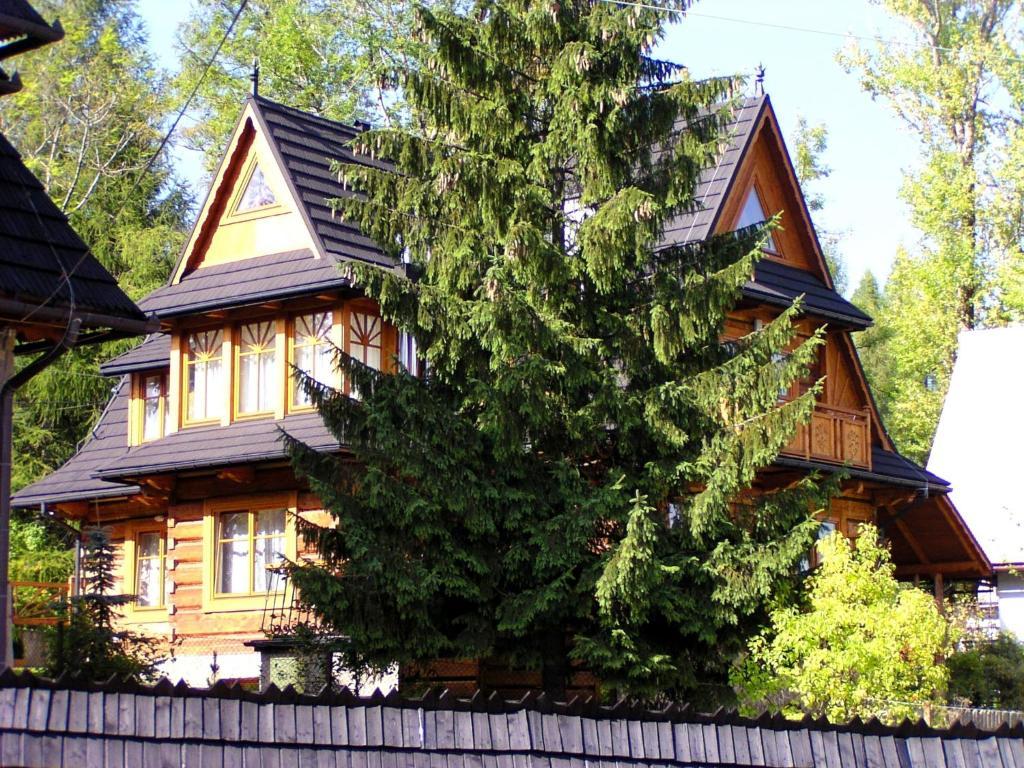 Willa Olga Zakopane Exteriér fotografie